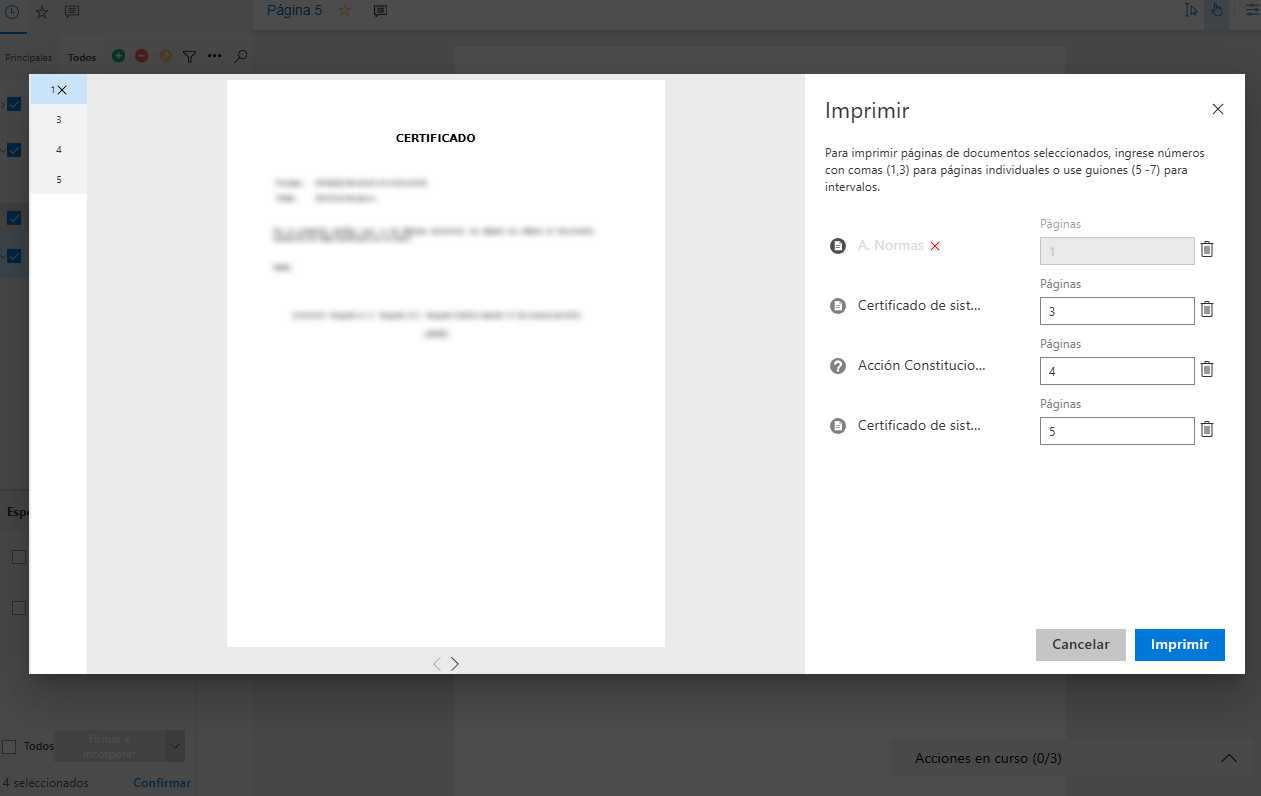 03_documentos selecionados.png